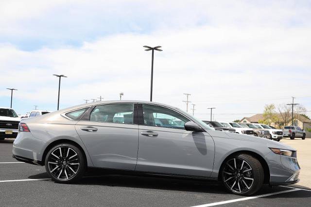 Used 2025 Honda Accord Touring image 6