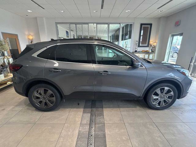 Certified 2024 Ford Escape Platinum image 6