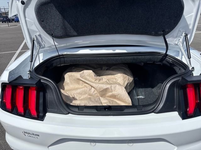 Certified 2019 Ford Mustang GT Premium w/ Equipment Group 401A RWD image 12