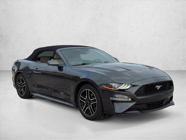Certified 2019 Ford Mustang Premium image 3