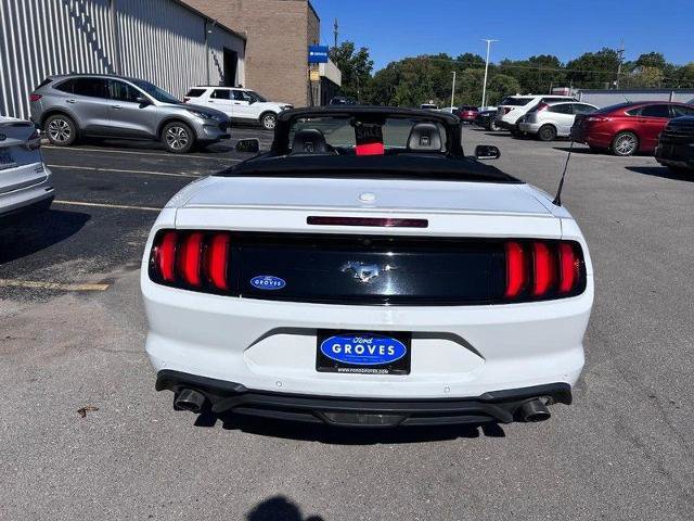 Certified 2023 Ford Mustang Premium image 8