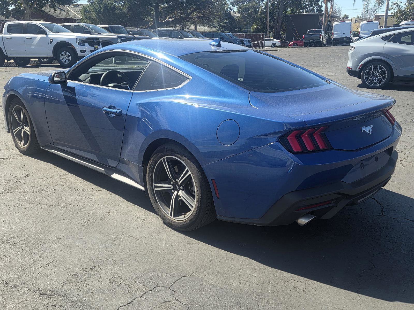 Certified 2024 Ford Mustang EcoBoost image 7