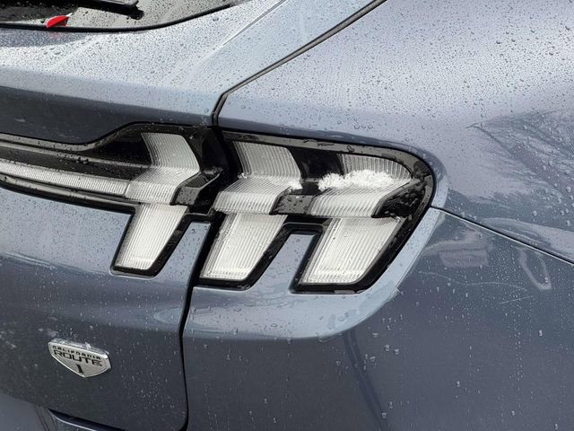 Certified 2021 Ford Mustang Mach-E California Route 1 image 9