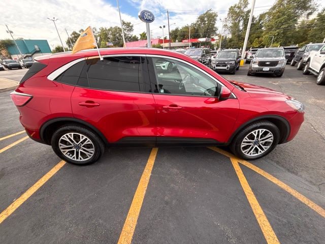 Certified 2022 Ford Escape SEL image 7