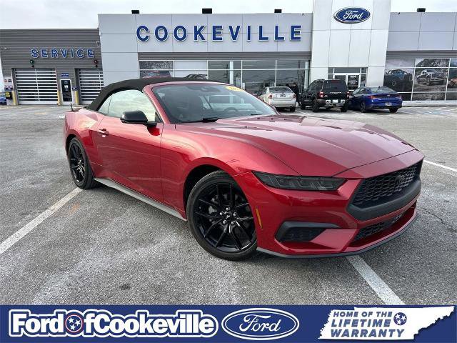 Certified 2024 Ford Mustang Premium image 2