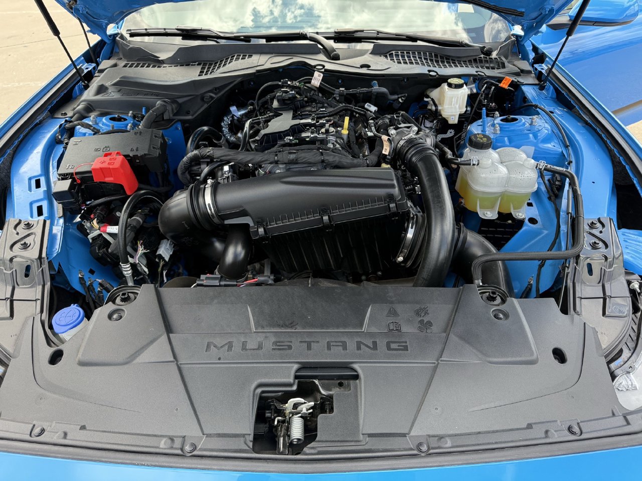 Certified 2025 Ford Mustang Coupe RWD image 25