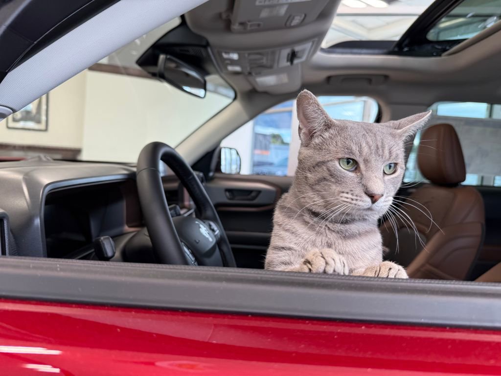 Certified 2023 Ford Explorer XLT w/ Equipment Group 202A image 24