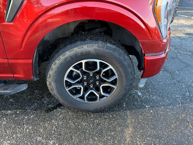 Certified 2023 Ford F150 XLT w/ Equipment Group 302A High image 35