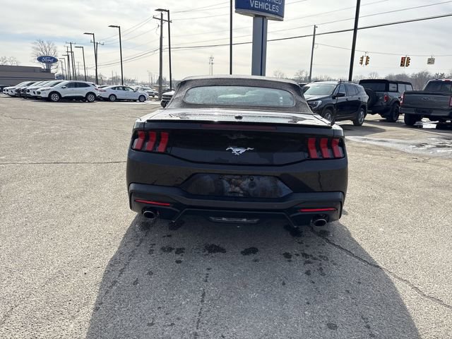 Certified 2024 Ford Mustang Premium image 8