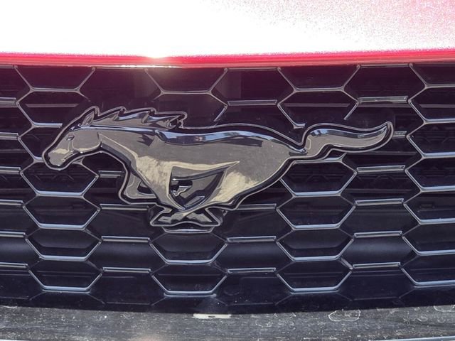Certified 2025 Ford Mustang GT w/ Mustang Nite Pony Package RWD image 20