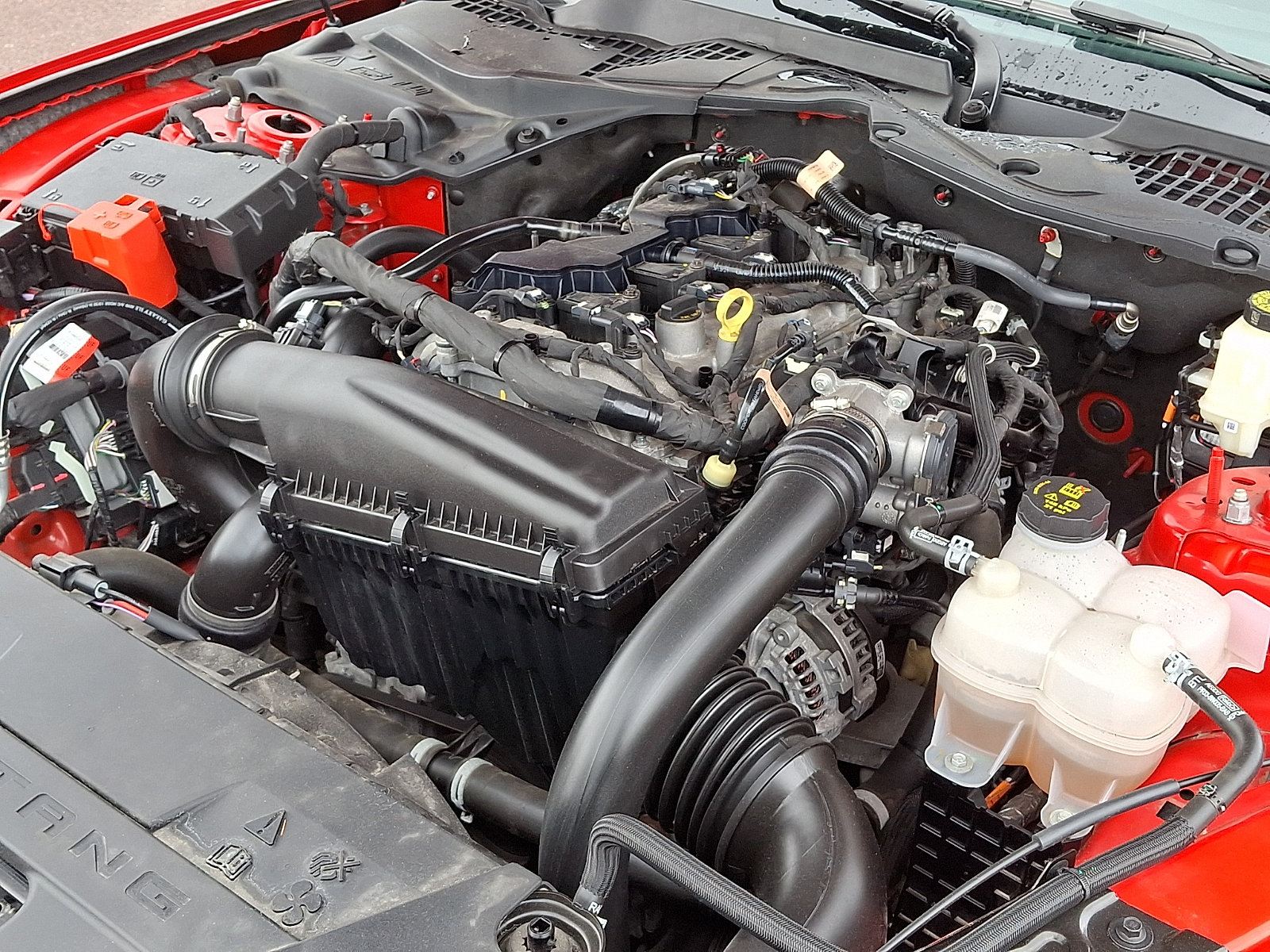 Certified 2024 Ford Mustang Premium RWD image 29
