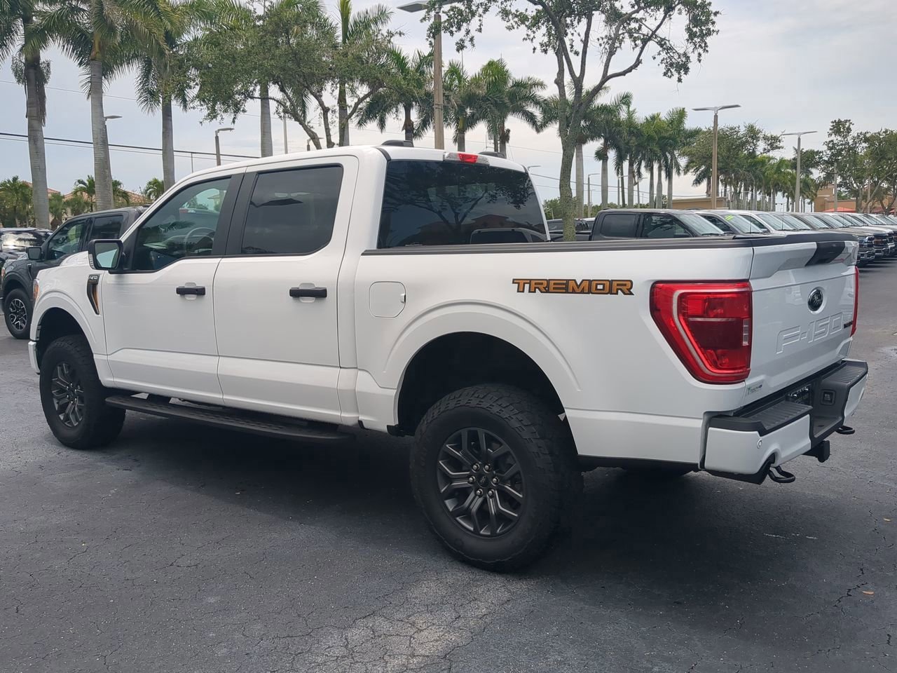 Certified 2021 Ford F150 Tremor image 3