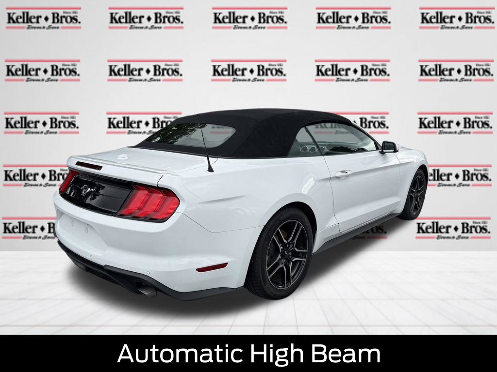 Certified 2019 Ford Mustang Premium w/ Equipment Group 201A RWD image 7