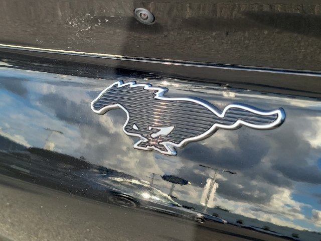 Certified 2023 Ford Mustang Mach-E Select RWD image 10