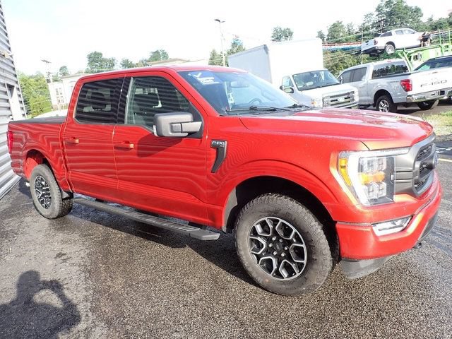 Certified 2023 Ford F150 XLT w/ Equipment Group 302A High AWD/4WD image 11