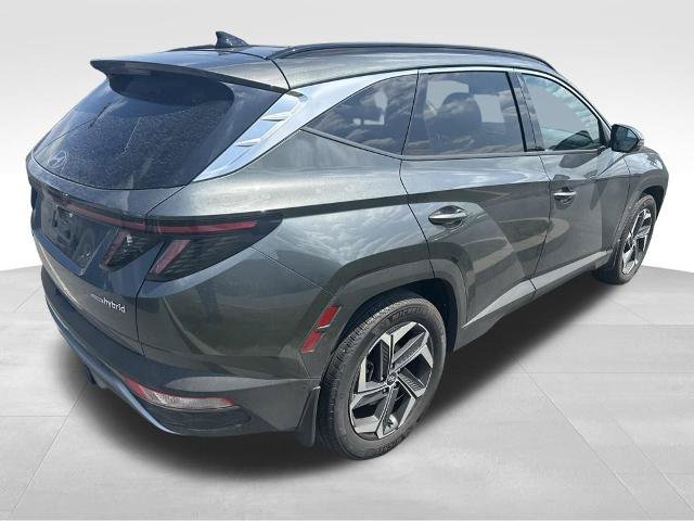 Used 2024 Hyundai Tucson Limited AWD/4WD image 6