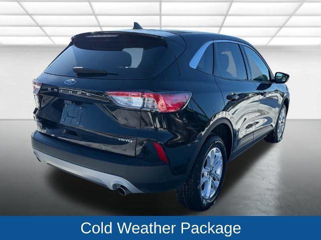 Certified 2022 Ford Escape SE w/ Cold Weather Package image 4