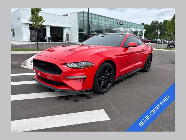 Certified 2019 Ford Mustang Coupe w/ Equipment Group 101A RWD image 1