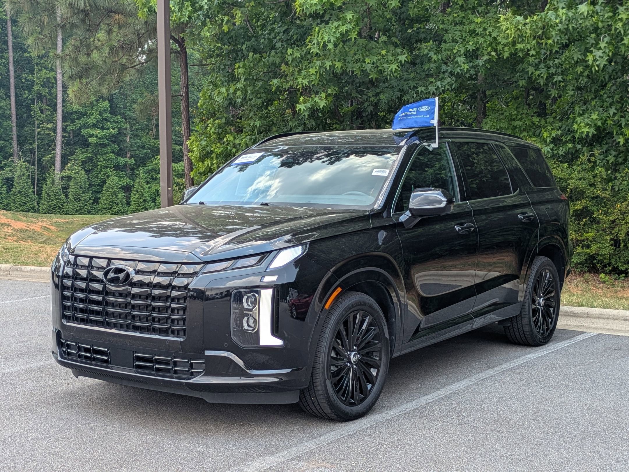 Used 2024 Hyundai Palisade Calligraphy AWD/4WD image 6