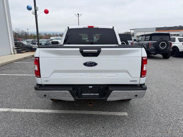Certified 2019 Ford F150 XLT w/ Equipment Group 302A Luxury image 4
