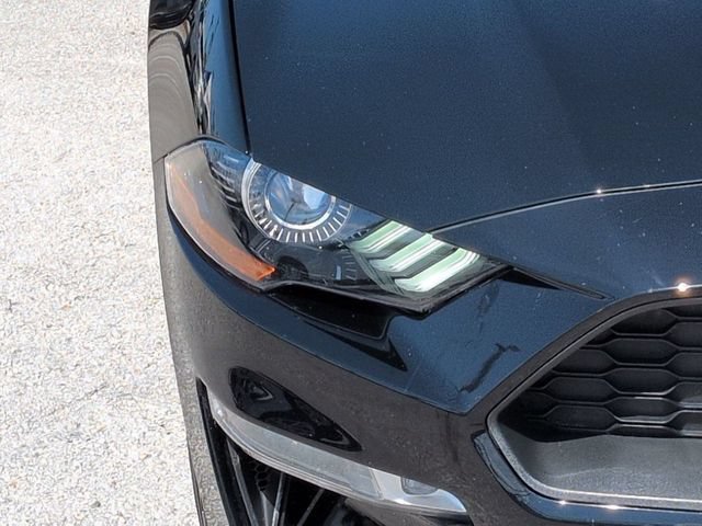 Certified 2019 Ford Mustang Premium RWD image 10