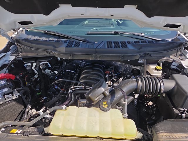 Certified 2025 Ford F150 XLT w/ Equipment Group 301A Standard image 19