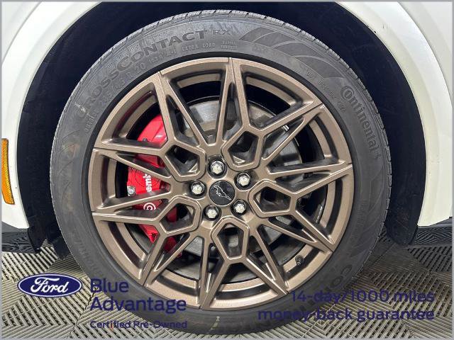 Certified 2025 Ford Mustang Mach-E GT w/ Bronze Appearance Package AWD/4WD image 15