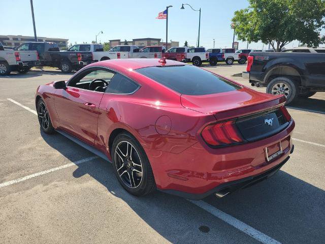 Certified 2023 Ford Mustang Premium w/ Equipment Group 201A RWD image 3