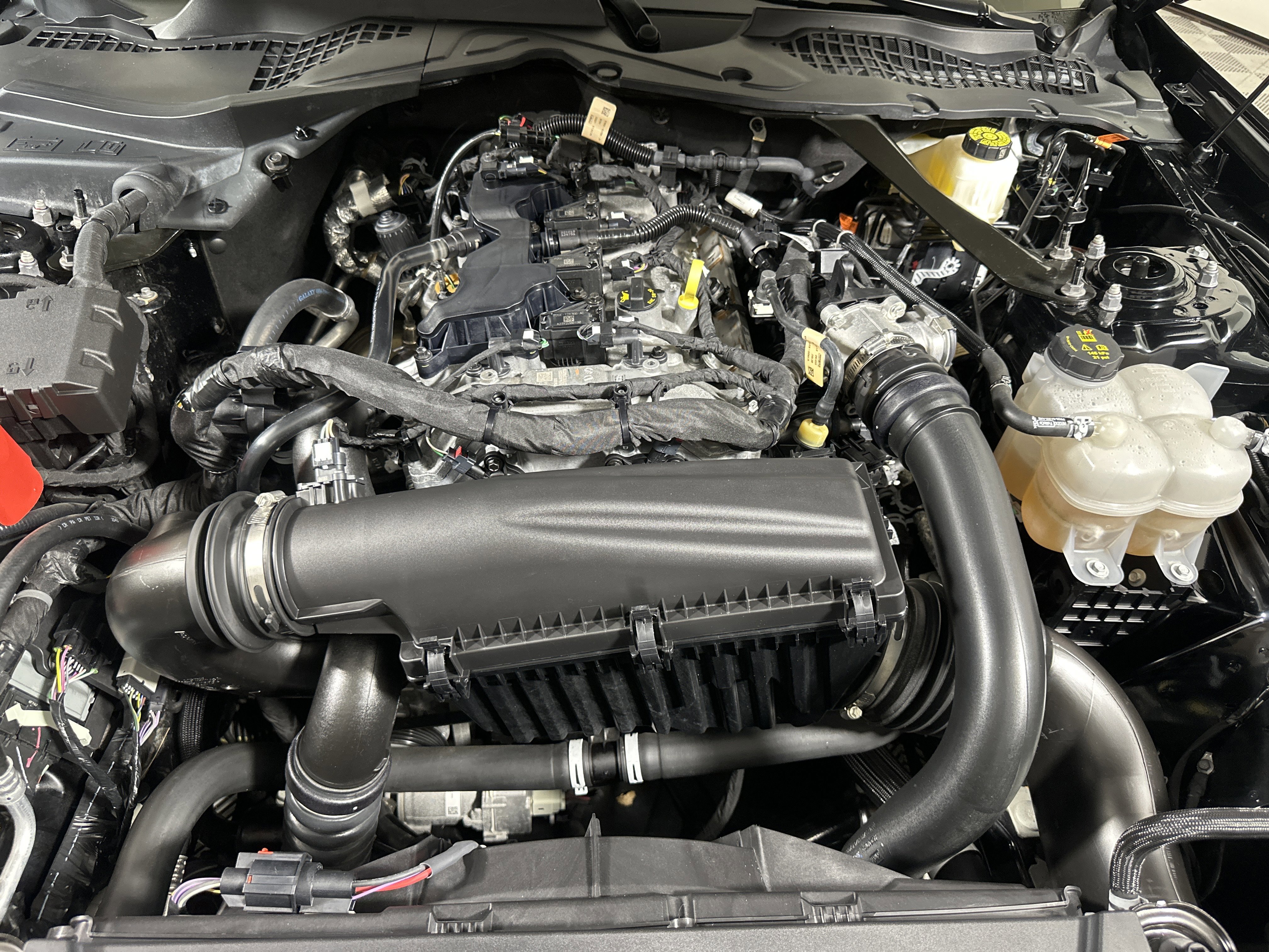 Certified 2024 Ford Mustang Premium image 25