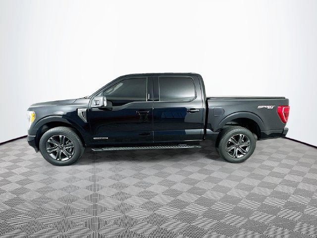 Certified 2023 Ford F150 XLT w/ Equipment Group 302A High AWD/4WD image 6