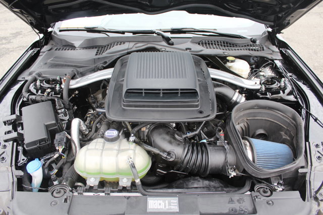 Certified 2023 Ford Mustang Mach 1 image 17