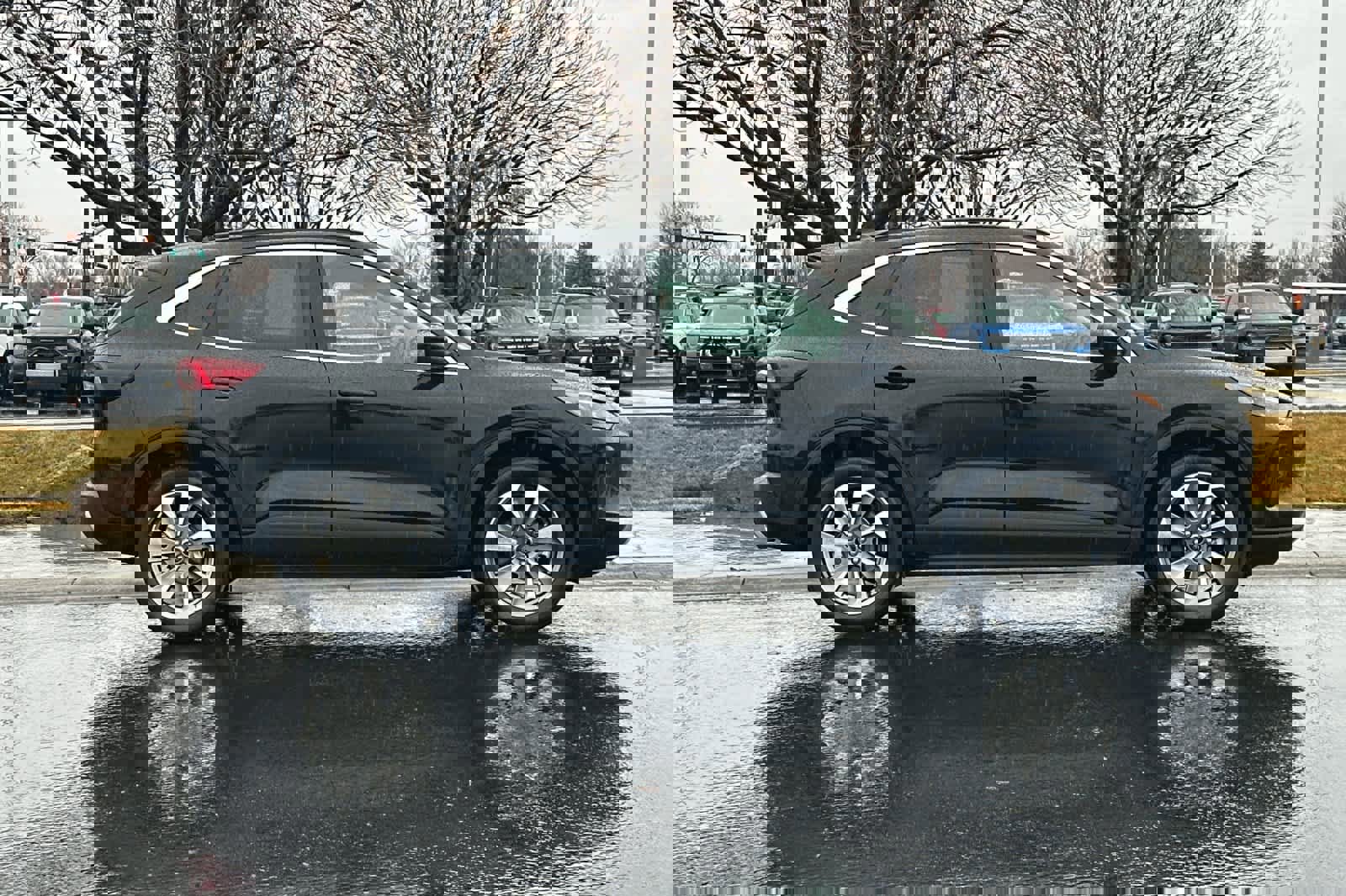 Certified 2025 Ford Escape Platinum image 6