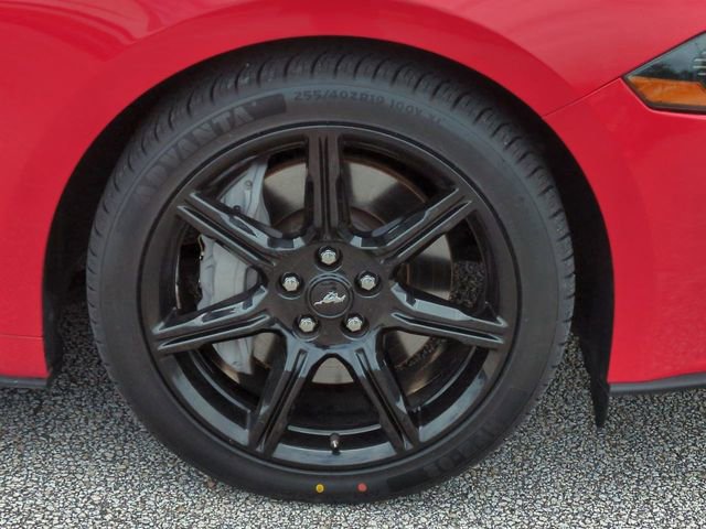 Certified 2019 Ford Mustang GT Premium w/ Black Accent Package RWD image 11