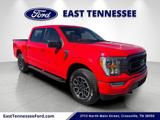 Certified 2023 Ford F150 XLT w/ Equipment Group 302A High image 7