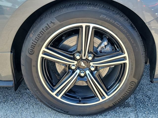 Certified 2025 Ford Mustang Coupe RWD image 6