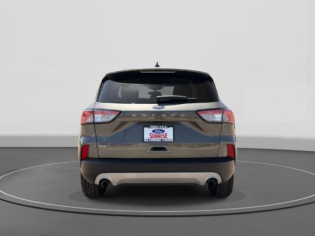 Certified 2022 Ford Escape SEL w/ Technology Package FWD image 6