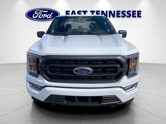 Certified 2022 Ford F150 XLT w/ Equipment Group 302A High image 8