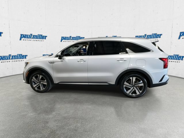Used 2024 Kia Sorento EX w/ Panoramic Sunroof Package AWD/4WD image 7