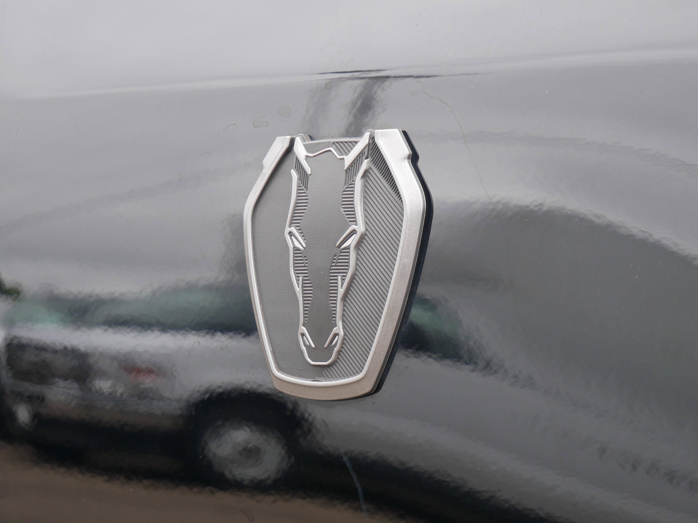 Certified 2024 Ford Mustang Dark Horse w/ Dark Horse Handlin Package RWD image 5
