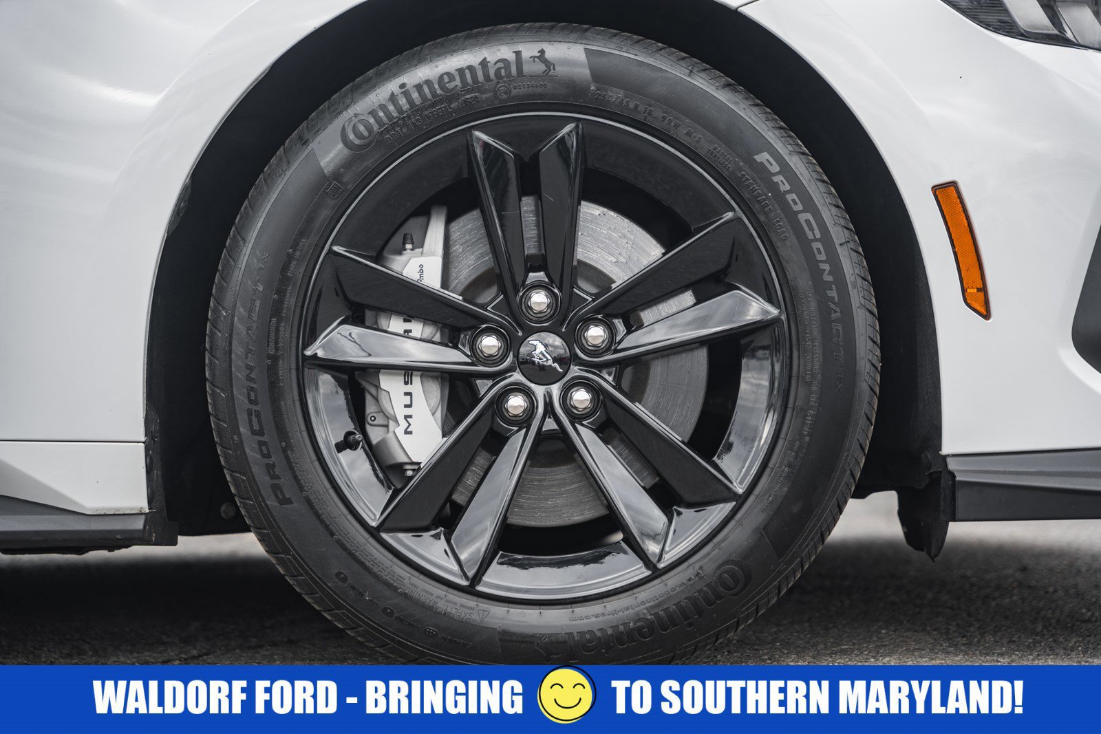 Certified 2024 Ford Mustang GT image 19