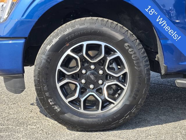 Certified 2023 Ford F150 XLT w/ Equipment Group 302A High AWD/4WD image 10