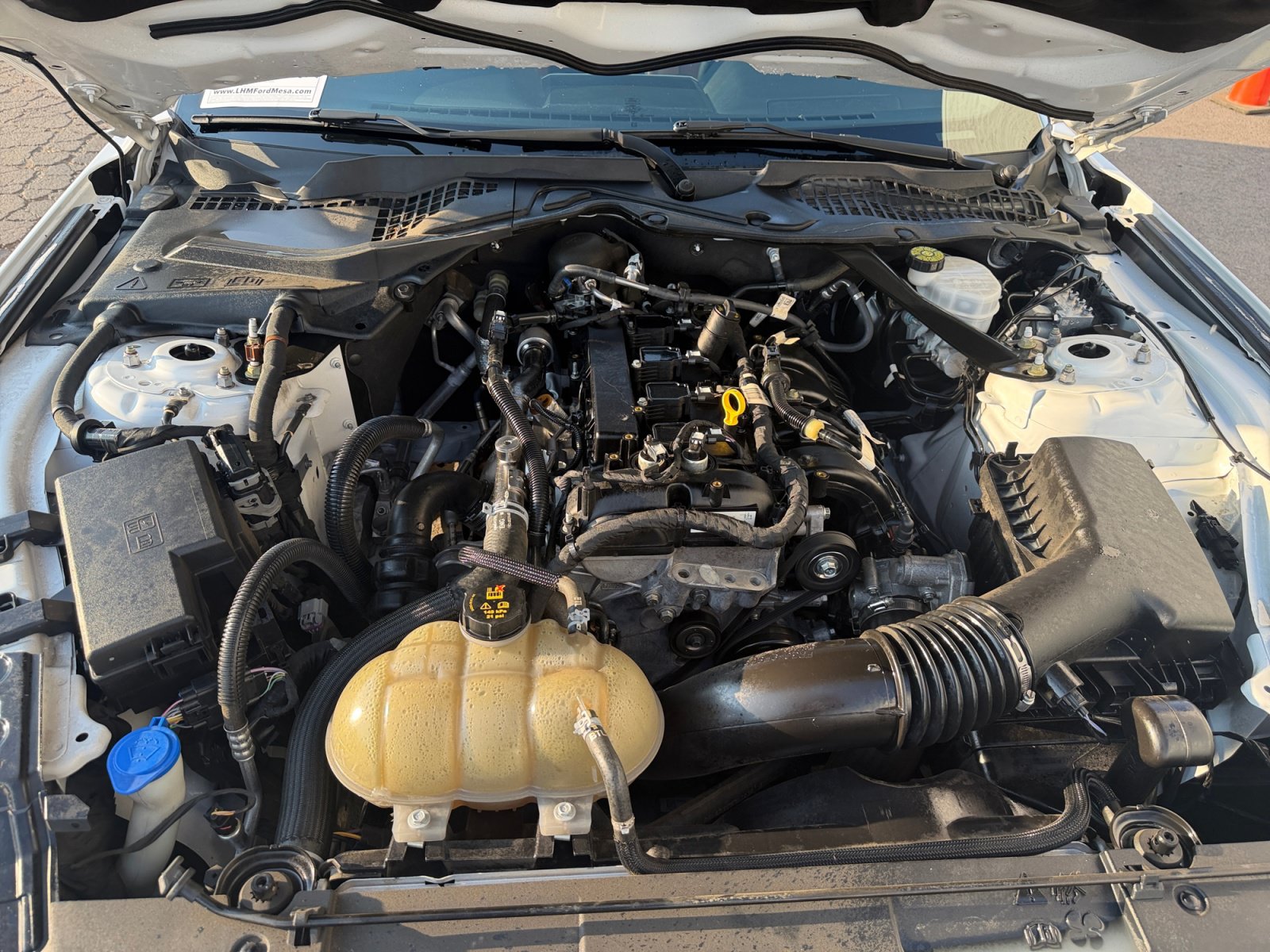 Certified 2022 Ford Mustang Premium RWD image 32
