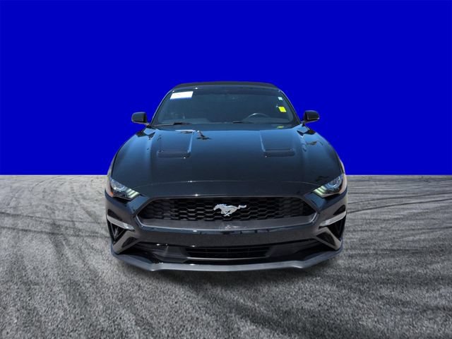 Certified 2019 Ford Mustang Premium RWD image 9