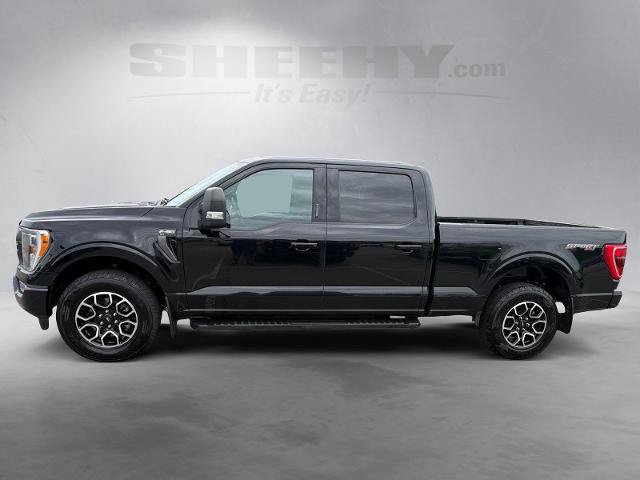 Certified 2023 Ford F150 XLT w/ Equipment Group 302A High AWD/4WD image 15