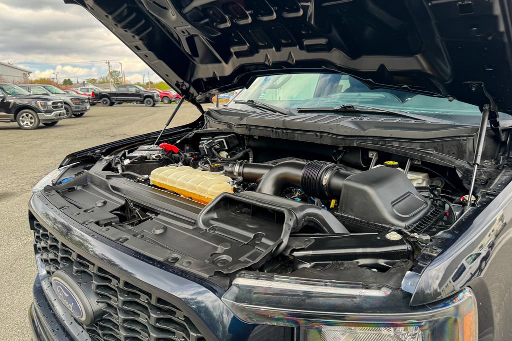 Certified 2023 Ford F150 XL w/ STX Appearance Package AWD/4WD image 32