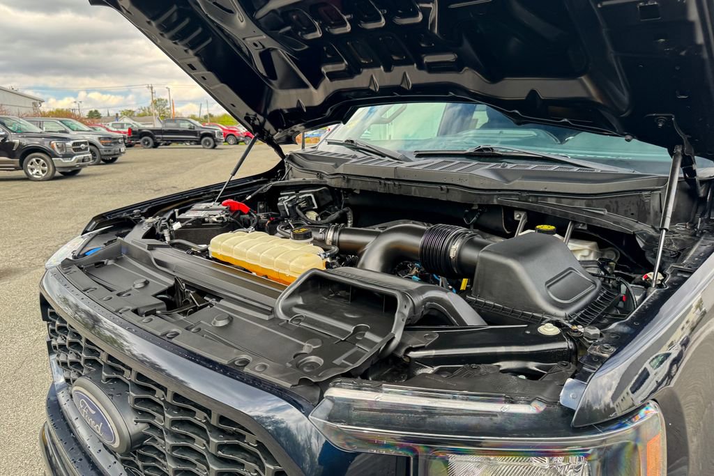 Certified 2023 Ford F150 XL w/ STX Appearance Package AWD/4WD image 32