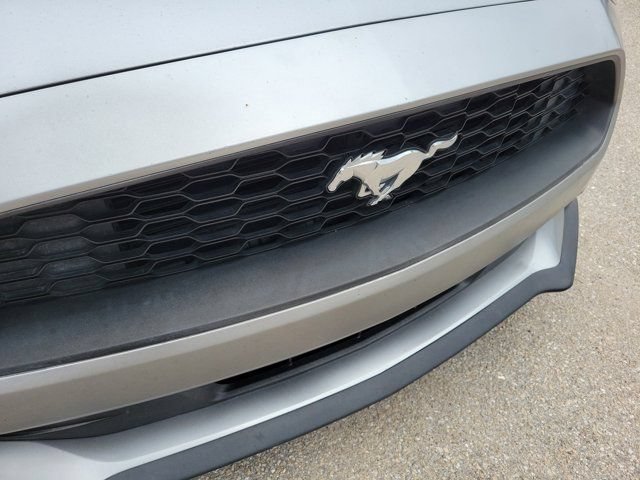 Certified 2021 Ford Mustang Premium RWD image 11