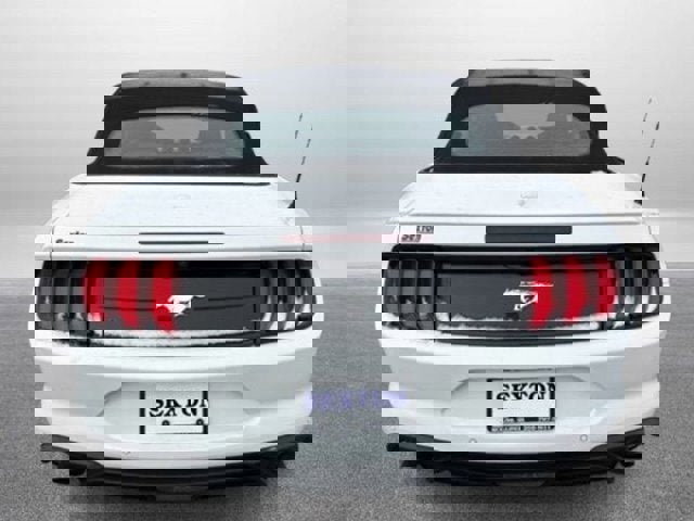 Certified 2022 Ford Mustang Premium image 4