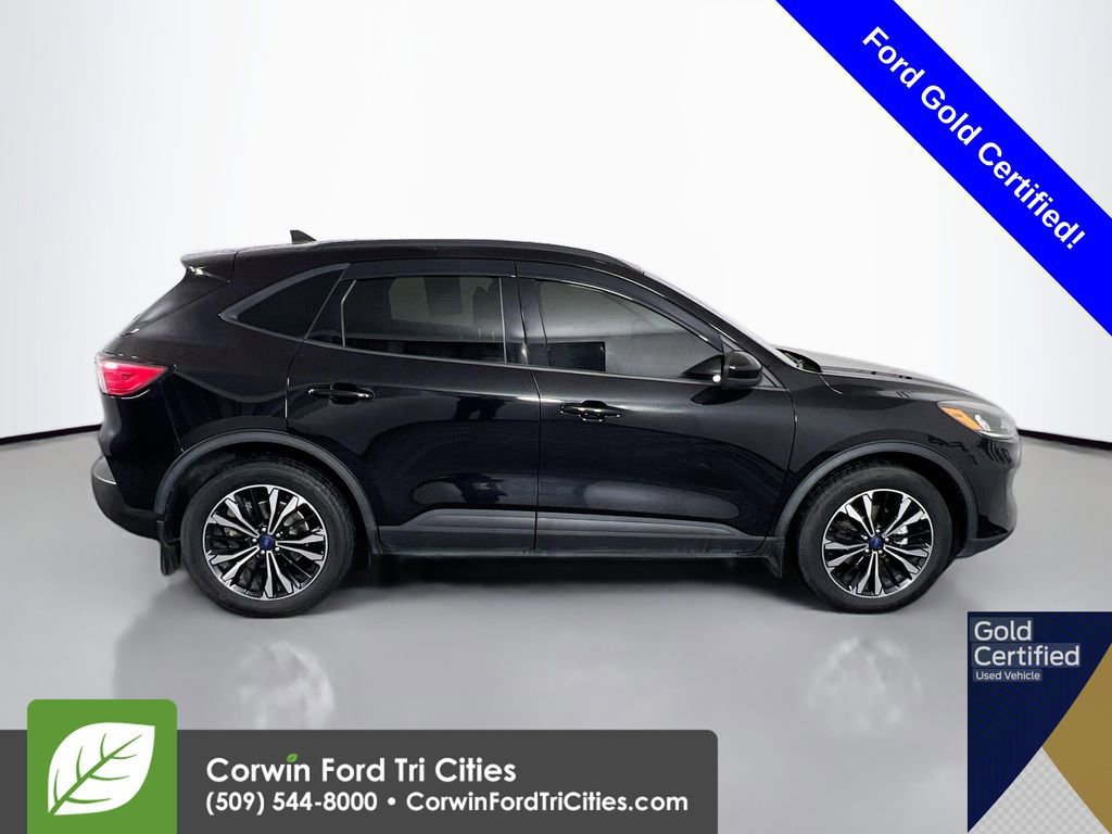 Certified 2022 Ford Escape SEL w/ SEL Stealth AWD Package image 6