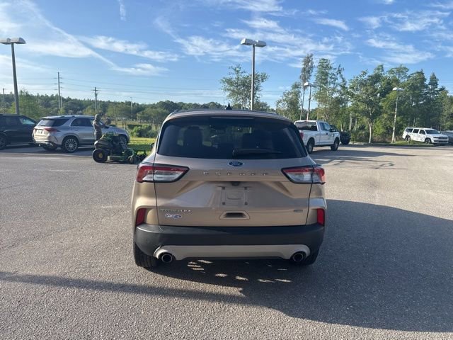 Certified 2020 Ford Escape Titanium w/ Titanium Premium Package 2.0 image 4